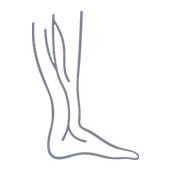 Phlebology